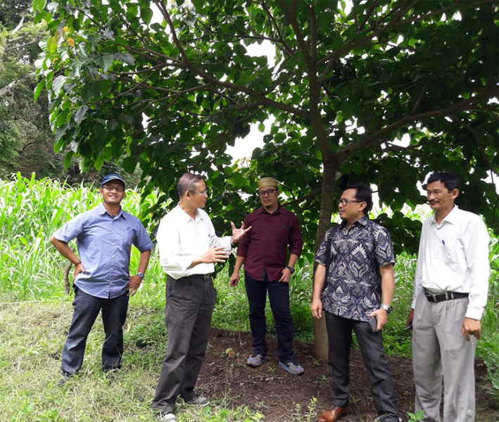 Penjajakan kerjasama oleh Balai Tanaman Industri Sukabumi